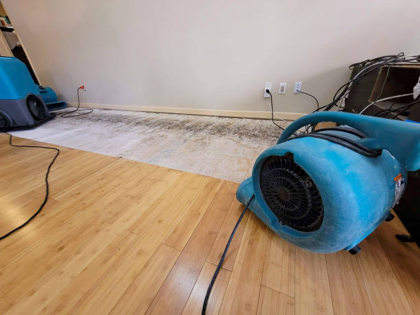 Professional Emergency Water Damage technician working in Brogue, PA
